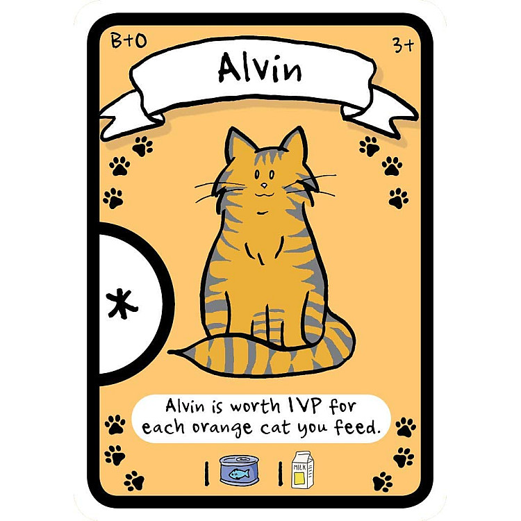 Showing image for Cat Lady Cat Lady image