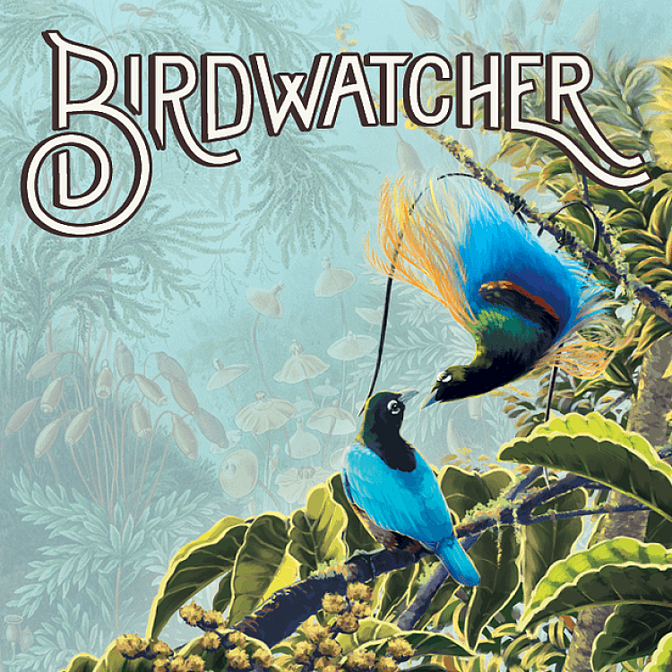 Showing image for Birdwatcher Birdwatcher image