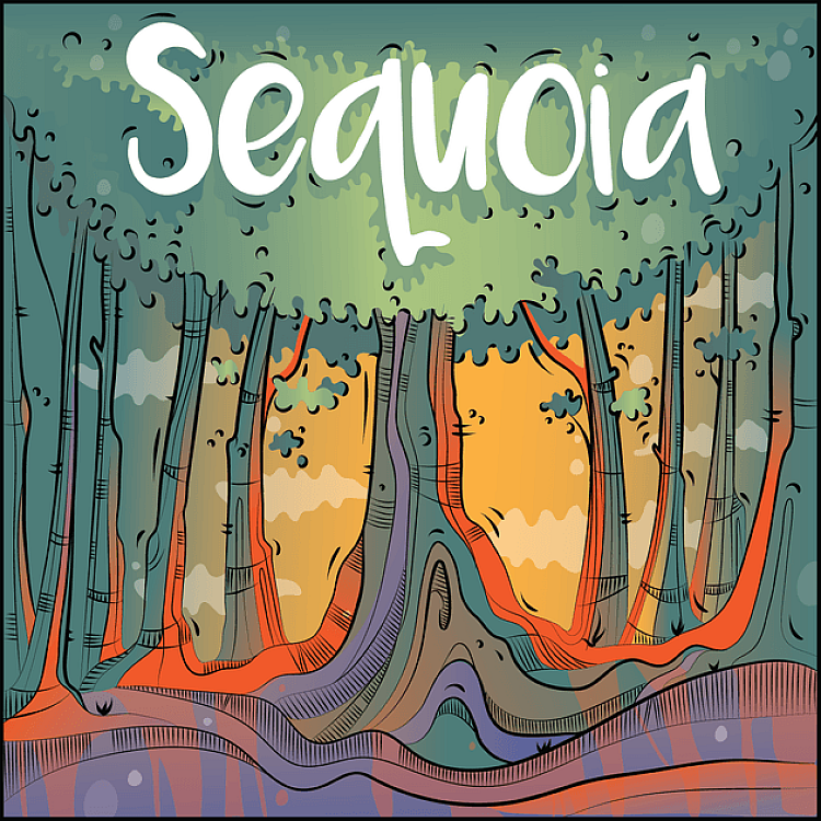 Showing image for Sequoia Sequoia image